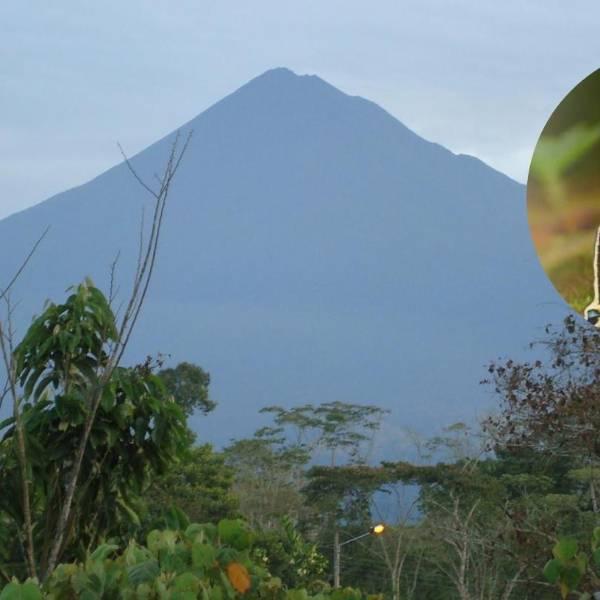 151 especies de mariposas registradas en el Parque Sumaco featuring Ecuador